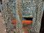 Immagine 4