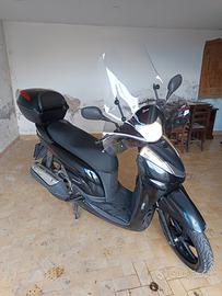 SH 300 Sport TRATTABILE