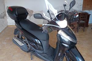 SH 300 Sport TRATTABILE