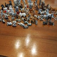collezione di gatti 
