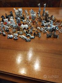 collezione di gatti 
