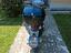Immagine 1