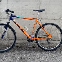 Bianchi Nth