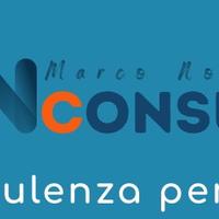 Consulente Aziendale
