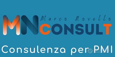 Consulente Aziendale