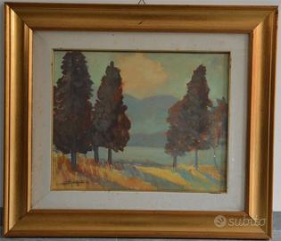 Quadro olio su tela artista Graffieti Azelio. 