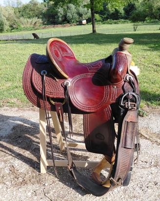 Sella western billy cook