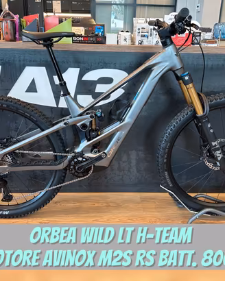 Orbea WILD LT H-Team