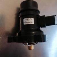 termostato opel ampera