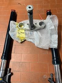Sachs Forcelle compl. piastra Aprilia rsv4 tuono