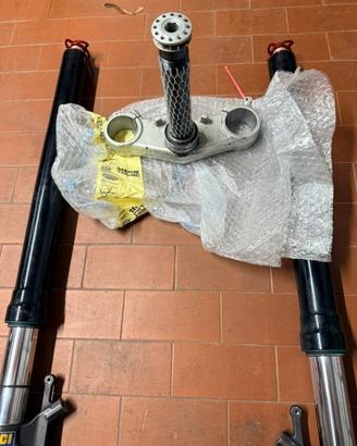 Sachs Forcelle compl. piastra Aprilia rsv4 tuono