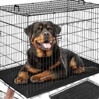 Box cani taglia grande