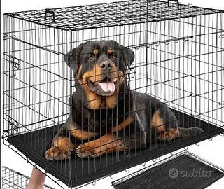 Box cani taglia grande