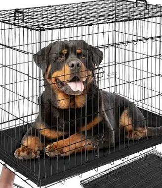 Box cani taglia grande