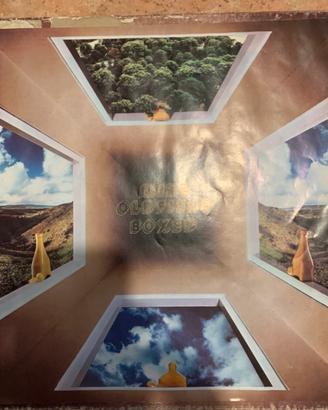 LP vinile Mike Olfield