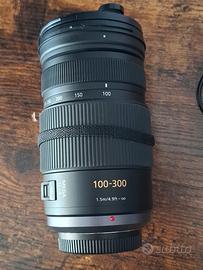 Panasonic Lumix G Vario 100-300 mm f/4,0-5,6