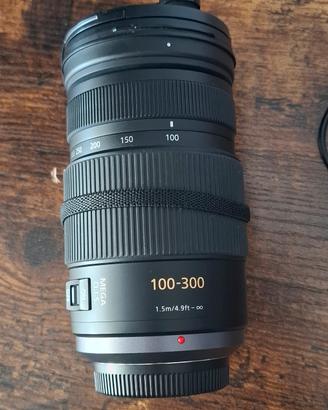 Panasonic Lumix G Vario 100-300 mm f/4,0-5,6