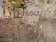 Immagine 28