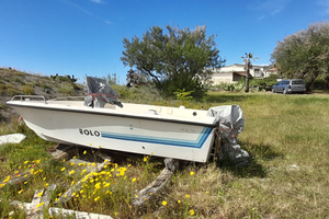 Barca Eolo con motore Selva 37CV 2T