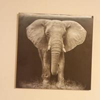Quadro elefante 🐘 3D su pannello in legno 