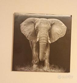 Quadro elefante 🐘 3D su pannello in legno 