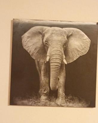 Quadro elefante 🐘 3D su pannello in legno 