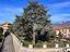 Immagine 28