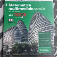 MATEMATICA MULTIMEDIALE. VERDE 1