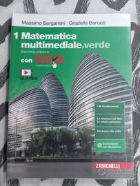 MATEMATICA MULTIMEDIALE. VERDE 1