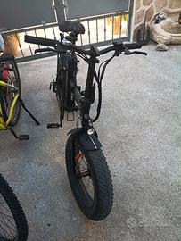 bicicletta elettrica
