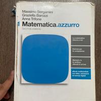 Matematica Azzurro 1