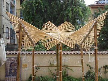 Canne bambù per arredo e altro