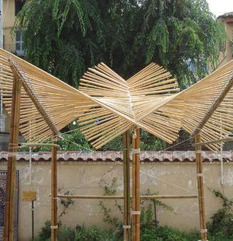 Canne bambù per arredo e altro