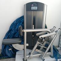 Life fiteness low row upper back