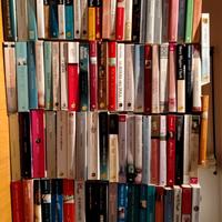 Libri rosa