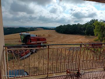 Vendita Azienda Agricola