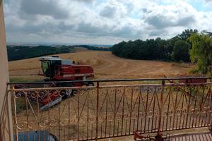 Vendita Azienda Agricola