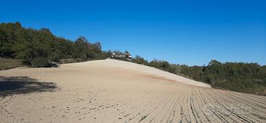 Terreni più metrature e cascinale collina torinese