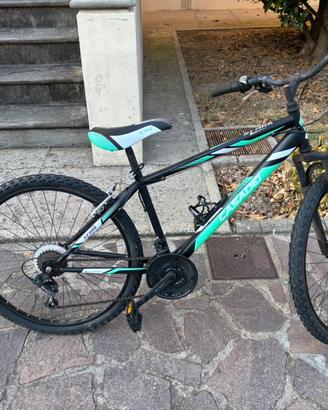 Mountain bike Casadei stark