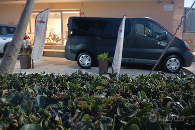 renault trafic 9 posti 1.9 dci anno 2005 374000 k