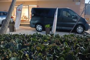 renault trafic 9 posti 1.9 dci anno 2005 374000 k