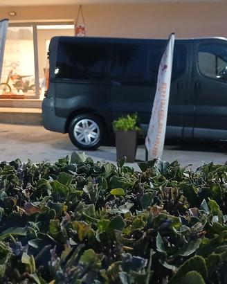 renault trafic 9 posti 1.9 dci anno 2005 374000 k