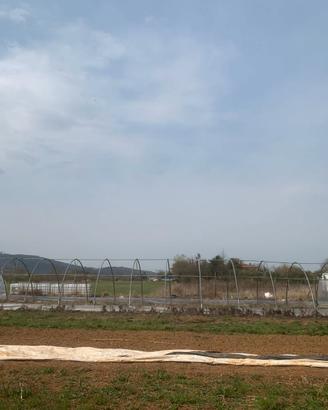 Serra agricola