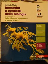 libri