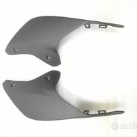 Fianchetti codino carbonio streetfighter v4 v4s