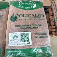 NOCCIOLINO DI OLIVA