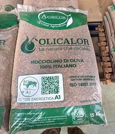 NOCCIOLINO DI OLIVA