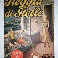 Alfeo Martini Pioggia di Stelle 