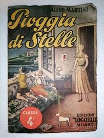 Alfeo Martini Pioggia di Stelle 