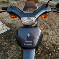 Piaggio free 50